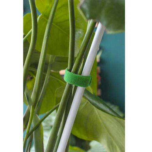 Legaturi pentru plante, Nylon reutilizabil, 5 Metri Lungime, Pentru legat plante si organizare cabluri