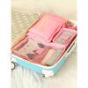 1+1 GRATIS Set 6 genti pentru organizare si depozitare valiza, Roz